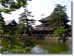 todaiji-1 * Todaiji Temple, Nara