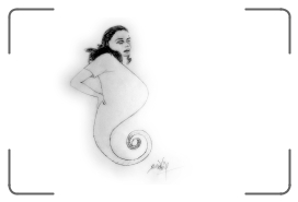 pencil_sketch_pregnant_seahorse_mother * 1200 x 765 * (91KB)