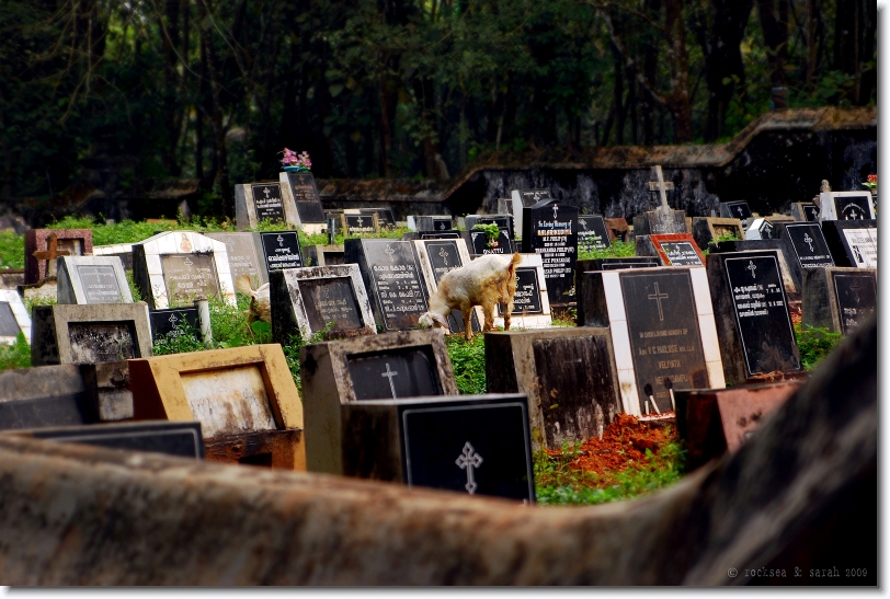 Cemetery at Kadamattom, Kerala, India