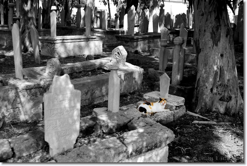 Turkish Cemetery at the Island of Rhodes, Greece