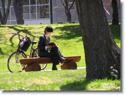 hokkaido-university-spring5 * closerrr. hokkaido university. the campus during spring/summer is a nice place to sit n relax