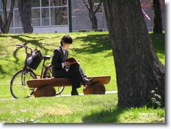 hokkaido-university-spring5 * closerrr. hokkaido university. the campus during spring/summer is a nice place to sit n relax * 2288 x 1712 * (829KB)