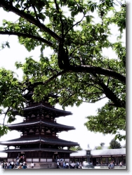 horyuji-5 * Horyuji, Japan's 1st World Cultural Heritage * 766 x 1024 * (377KB)