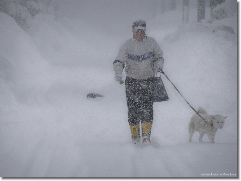 sapporo in winter, a man, a dog, and a crow