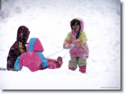 kids-snow-sliding-0 * OLYMPUS DIGITAL CAMERA         