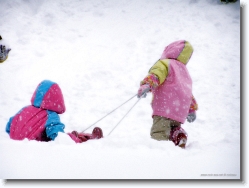 kids-snow-sliding-1 * ya this way * 1024 x 766 * (205KB)