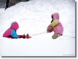 kids-snow-sliding-5 * OLYMPUS DIGITAL CAMERA         