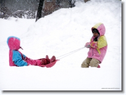 kids-snow-sliding-6 * uhhh?!!! you're heavy! * 1024 x 766 * (201KB)