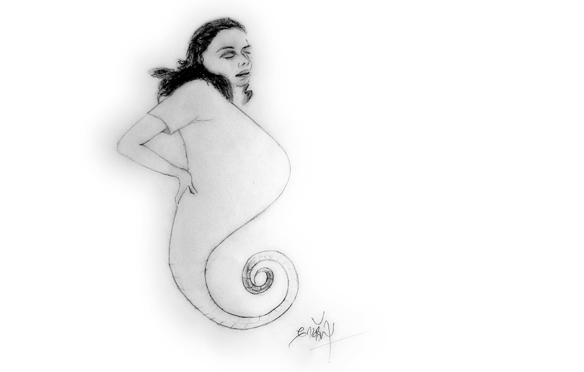 pregnant seahorse mother pencil sketch