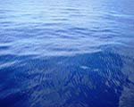 blue blue sea; armex cruise